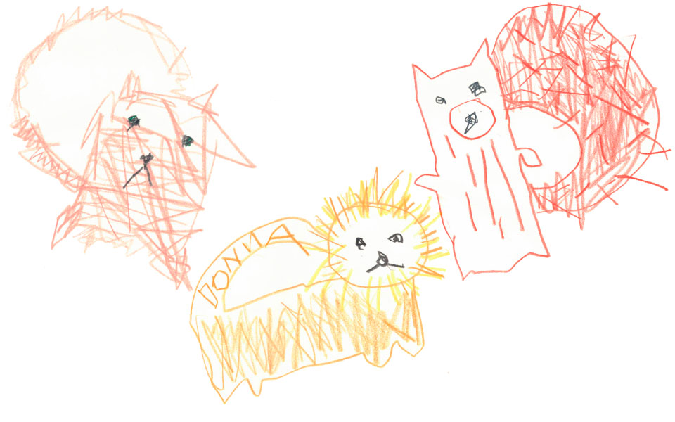 Cyril Scoiattolo Volpe - massaggiagengive e giocattolo per il bagnetto - Oli & Carol - immagine 9