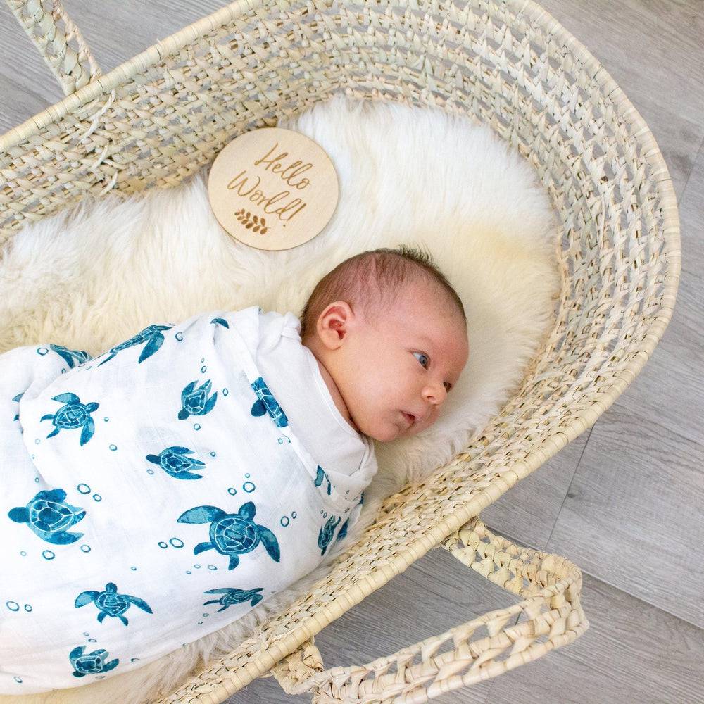 Hello World! - Disco Milestone Moments