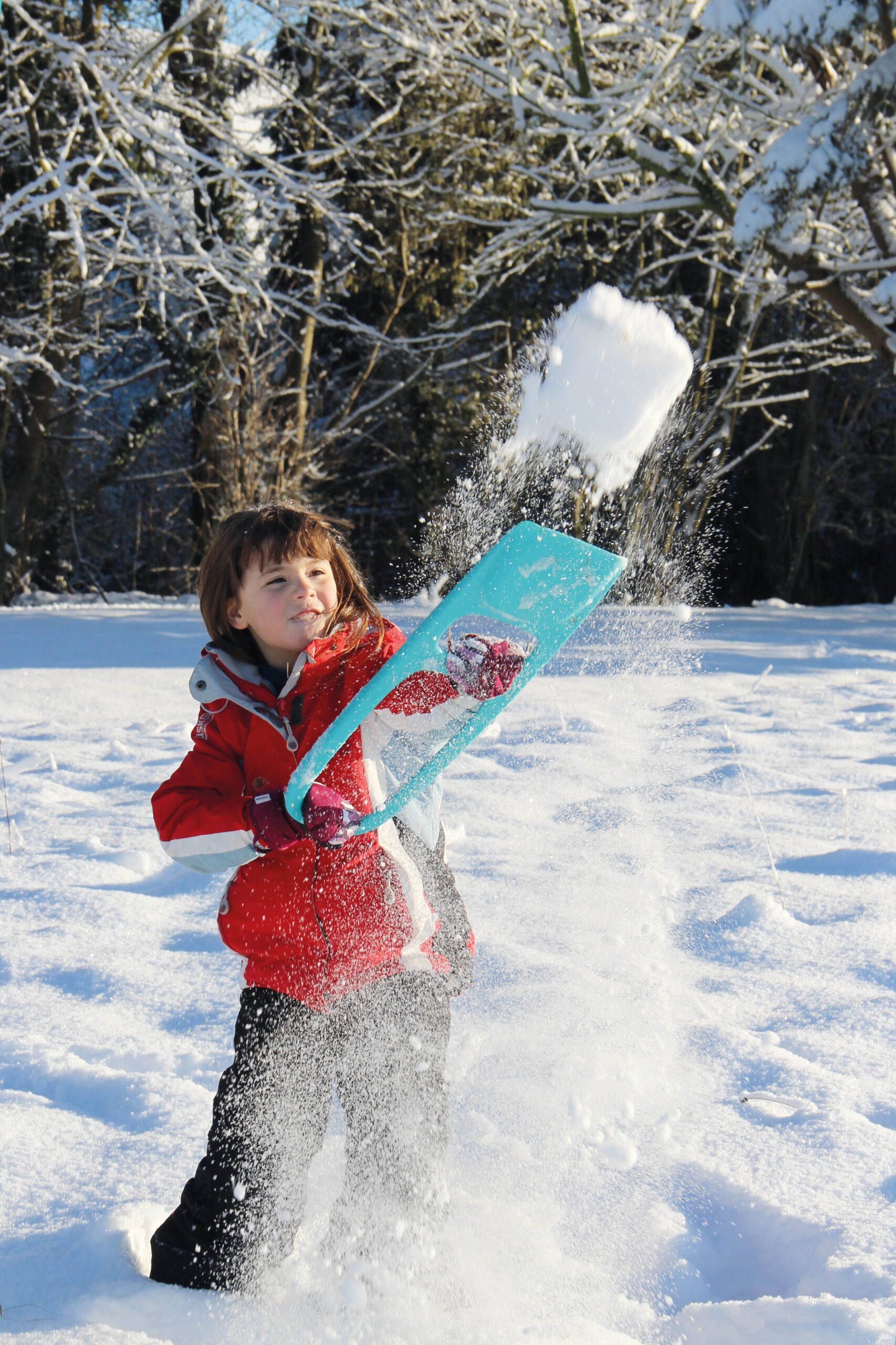 Scoppi - Paletta grande multifunzionale Quut - immagine 8