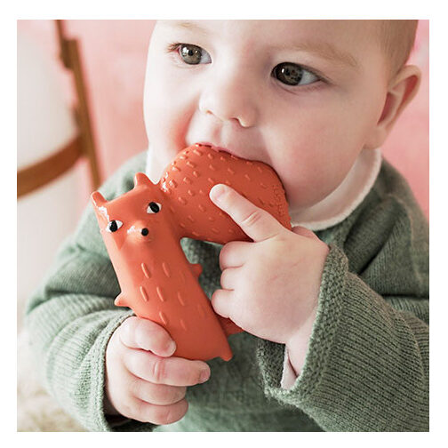 Cyril Scoiattolo Volpe - massaggiagengive e giocattolo per il bagnetto - Oli & Carol - immagine 5