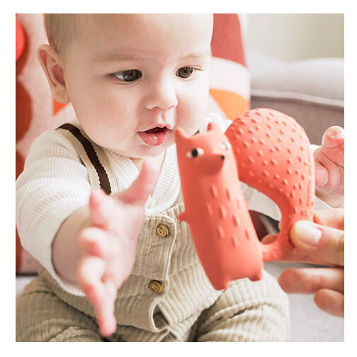 Cyril Scoiattolo Volpe - massaggiagengive e giocattolo per il bagnetto - Oli & Carol - immagine 7